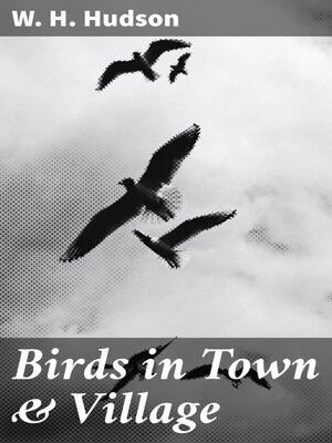 cover image of Birds in Town & Village